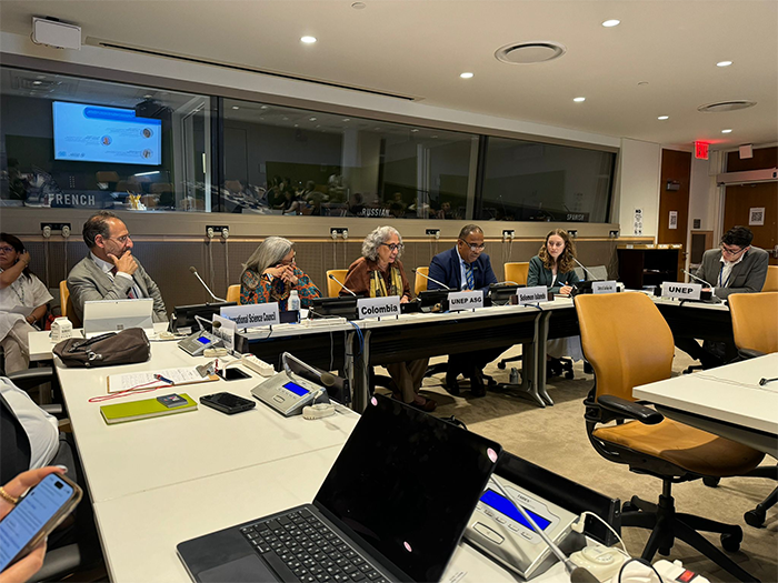NGO Committee on Social Development