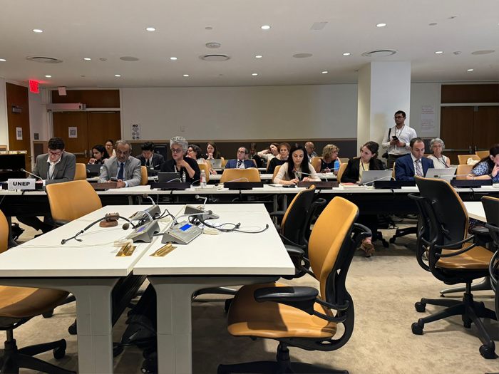 NGO Committee on Social Development