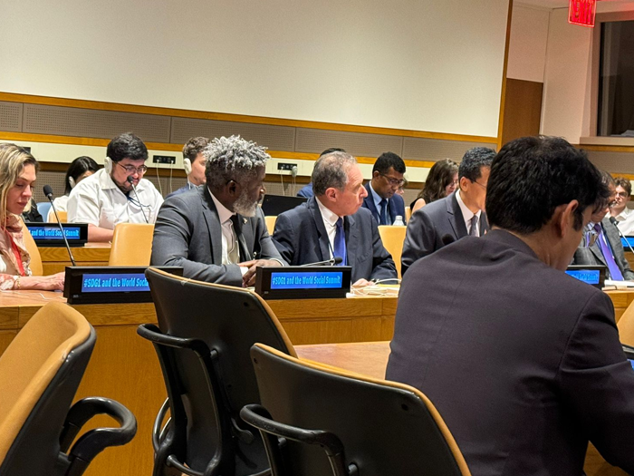 NGO Committee on Social Development