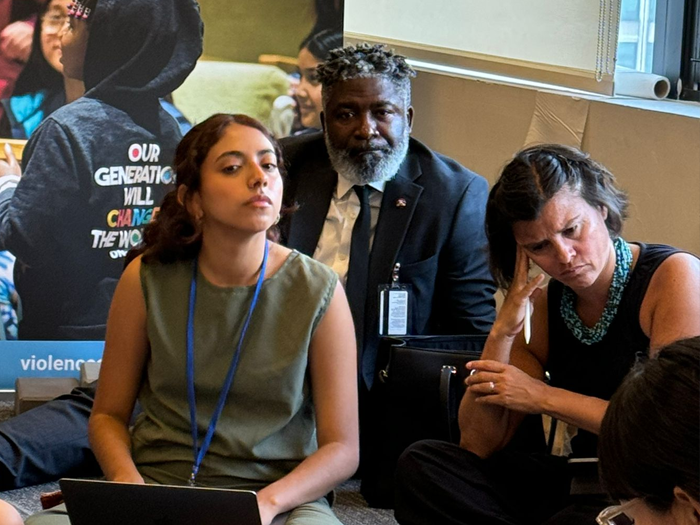NGO Committee on Social Development